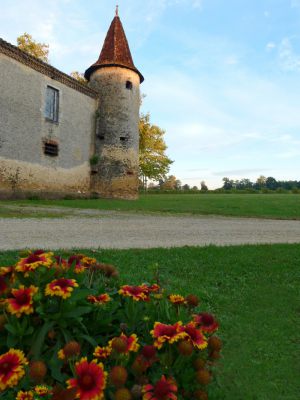 MANIBAN CHAI TOUR FLEURES LEVE DE SOLEIL OCTOBRE 2015